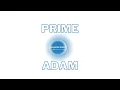 Prime Adam number in Java