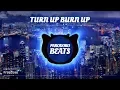 Download Lagu Diamond Ortiz  - Turn Up Burn Up [Free2Use]