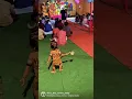 Download Lagu 1.5 year old Baby Girl Shiv Tandav | Jai Bhole Nath 🙏🏻