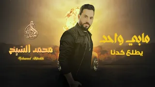 مابي واحد يطلع كدنا أحنا نهد البدو يهدنا دعس الشارب من عادتنا العكيد محمد الشيخ 2024 