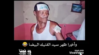 سيد الفنيله البيضا     دندنها