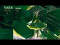Fakear - Jonnhae Pt.2