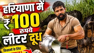 हरियाणा मे 100 रुपए लीटर दूध होने पर मेरे विचार|🧐