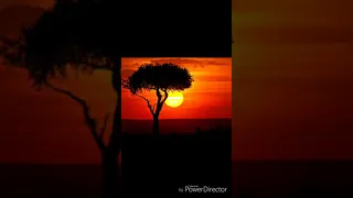 villager sa ft dios 1d ke apile botse afro house 2019