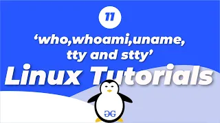 Linux Tutorials About the user and the terminal GeeksforGeeks
