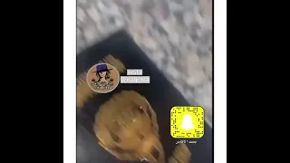 ليالي دهراب تكشف عن جنسيتها الحقيقية 