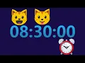 8 hour 30 minute Timer No Music with LOUD Alarm