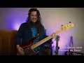 DEATH CAB FOR CUTIE - Punching the Flowers (Bass Cover)