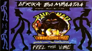 Download Afrika Bambaataa - Feel The Vibe (Extended Mix) MP3