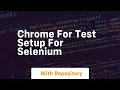 chrome for test setup for selenium