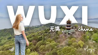 上海1小时外的隐秘瑰宝：江苏无锡的茶园与樱花
