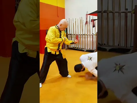 TSKF Kung Fu Equilíbrio em todos os sentidos, saída de Estrangulamento