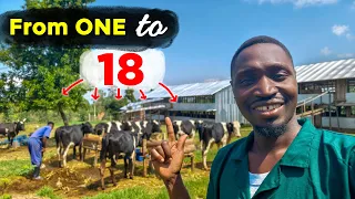 From 1 Cow to 18 in Just 4 MONTHS - Here's How