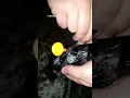 Qlink Phones are Shit