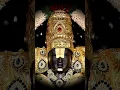 Lagu Venkateswara Suprabhatam🕉 #srinivasa #govinda #Venkateswara #balaji #tirupati #tirumala #devotion