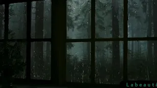 قلبي يحدثني بأنك متلفي   الشيخ النقشبندي دندنها