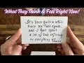 Download Lagu Someone You're Not Talking To 😰 Their Thoughts \u0026 Feelings ♥️ [Love Message] 💘