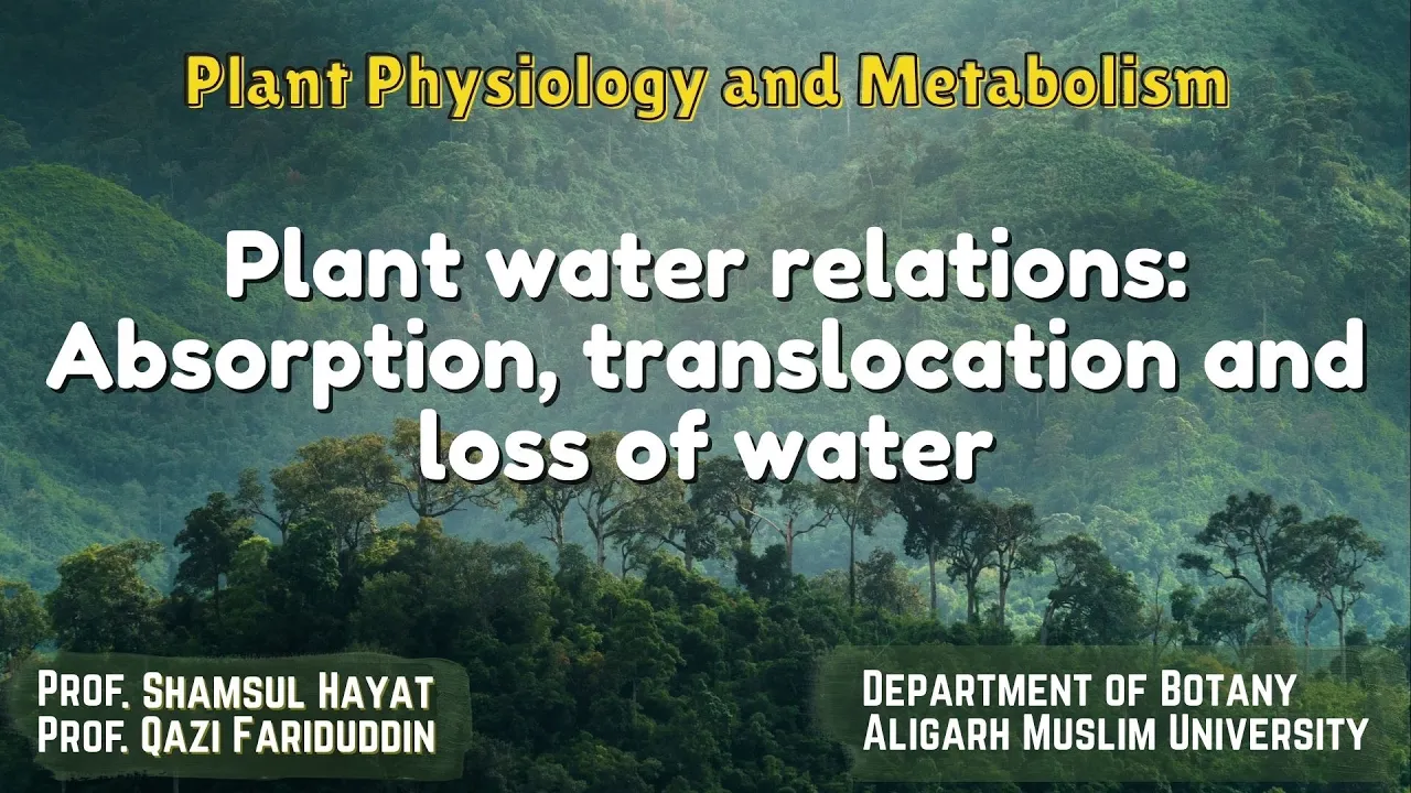 Plant water relations: Absorption, translocation and loss of water