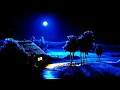 Download Lagu Suara Jangkrik Dan Caricangkas  Bikin Hati Tenang Pada Malam Hari