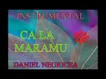 Download Lagu █▬█ █ ▀█▀  CA LA MARAMURES- DANIEL NEGRICEA [ DOMN PROFESOR DANCIU ]