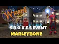 Rescuing Halston Balestrom The Full Marleybone 5 B O X E S Run in Wizard101