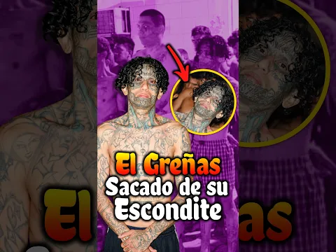 Captura del Greñas Peligroso pandillero del barrio 18