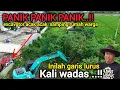 Lagu WARGA PANIK❗️PADA KELUAR SEMUA PAS EXCAVATOR ACAK ACAK SARANG PREDATOR TAKUT BANGLI NYA KENA GUSUR❗️