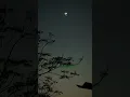 Download Lagu gali mein Aaj Chand Nikla
