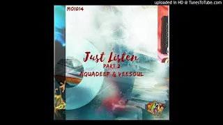 aquadeep u0026 veesoul most wanted re work