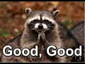 Good Good Gif