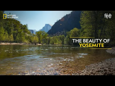 Download MP3 The Beauty of Yosemite | America’s National Parks | हिन्दी | Full Episode | S1-E3 | Nat Geo