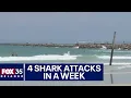 Four shark attacks in a week at Central Florida beaches