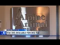 Montana pet owners warned about dog flu vaccine available