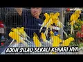 Lagu Gede-gede bener Rasmi kali ini‼️unboxing dan review langsung kenari Rasmi 35 ekor