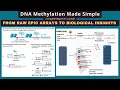 DNA Methylation Analysis EPIC Array to DMPs DMRs with minfi R