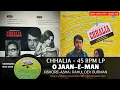 Lagu O Jaan-E-Man | Chhalia (1973)| Kishore Kumar \u0026 Asha Bhosle | R.D. Burman | Saregama 45 RPM Vinyl Rip