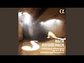 Download Lagu Sonata quinta detta la farina