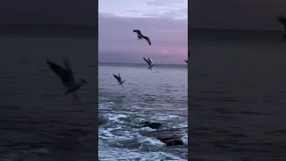 ما تيجى سكه Music Explore Song اكسبلور اغاني Foryou ترند 