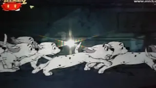 كرتون الكلاب 