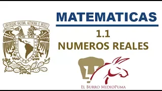 01  CURSO UNAM LICENCIATURA | MATEMATICAS / 1.1 NUMEROS REALES