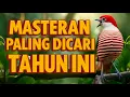 Download Lagu MASTERAN BURUNG PALING DICARI TAHUN INI – UNTUK SEMUA JENIS BURUNG #muraibatu #kacer #cucakijo