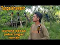 Download Lagu WOOW_HARGA PULUHAN JUTA MURAI BATU DAN KACER INI MALAH TIDAK DISANGKARI