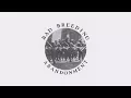 Download Lagu Bad Breeding - Medeplichtig (Officiële audio)