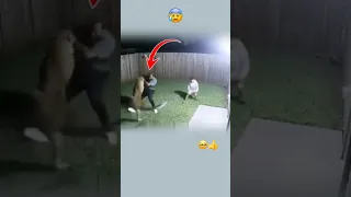 يأتي الهلاك مسرعا بالانسان ولكن لطف الله اسرع Animals Viral Viralvideo Explore Like 