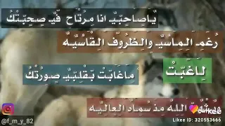 الصاحب الزين يتشال في العين دندنها