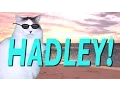Download Lagu HAPPY BIRTHDAY HADLEY! - EPIC CAT Happy Birthday Song