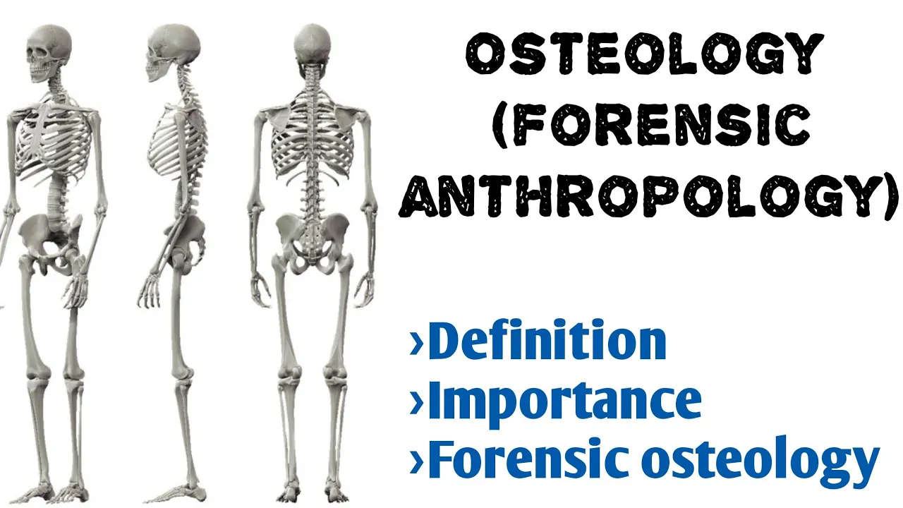 Osteology | Definition, function| Forensic Osteology