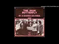 Iron Butterfly   In A Gadda Da Vida 1968 (Single radio Vers) HQ