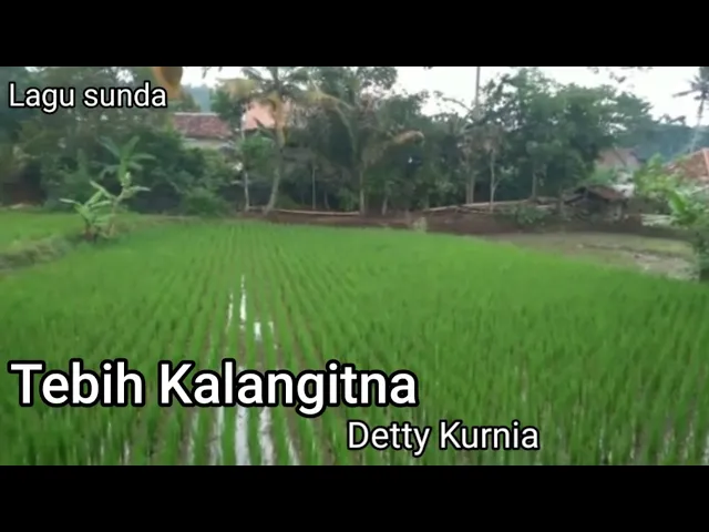 Download MP3 Tebih kalangitna Detty Kurnia (cover video)