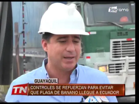 Controles se refuerzan para evitar que plaga de banano llegue a Ecuador